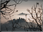 foto Colline di Romano d'Ezzelino nella Nebbia